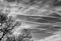 Stromy a oblaka 01